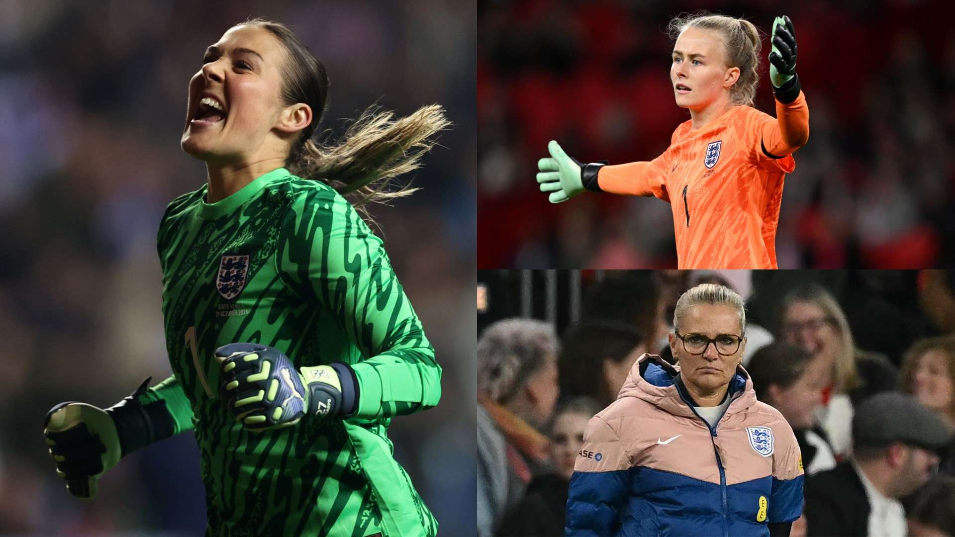 迷和专家们 迷和专家们