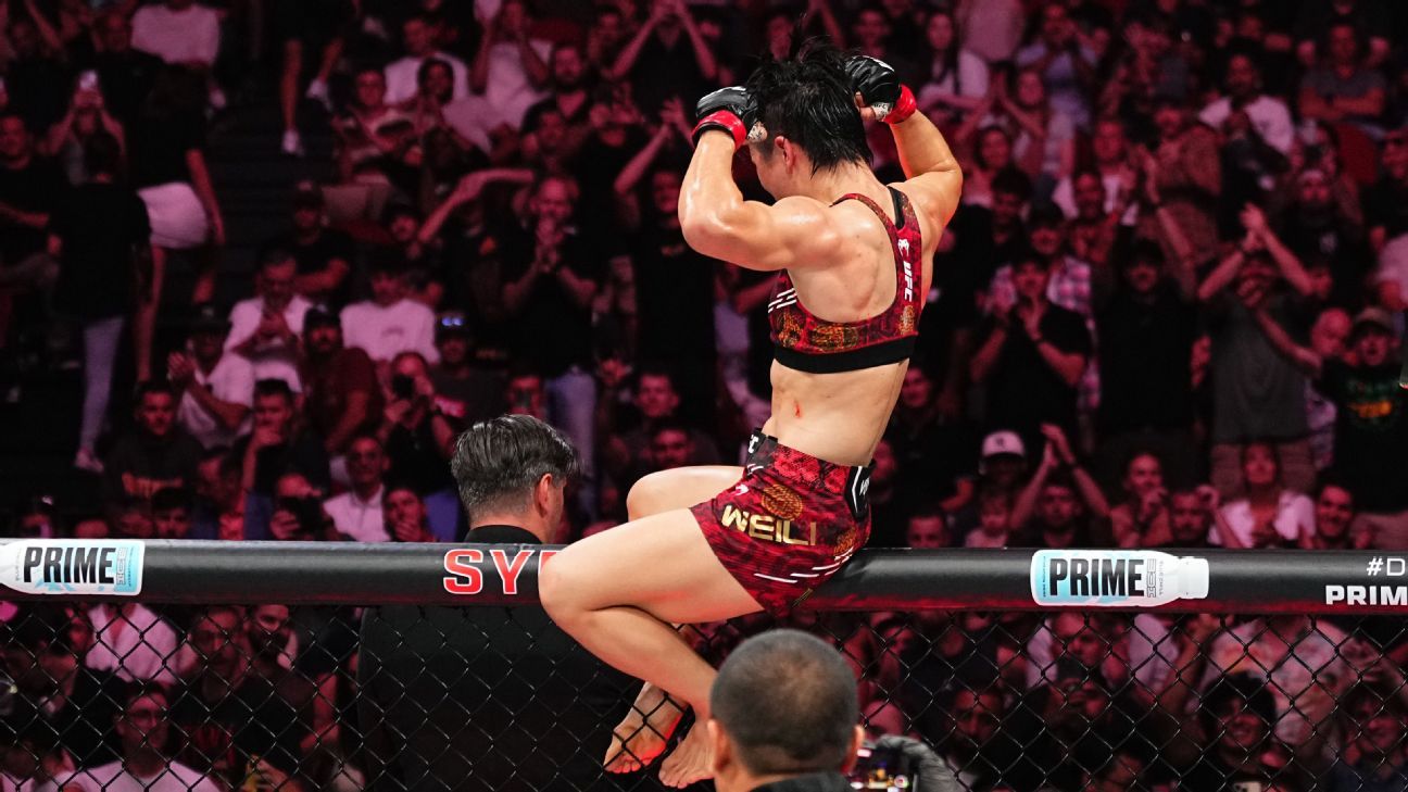 們提供了走 們提供了走